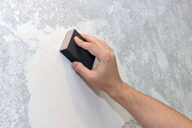 Best Industrial Mold Remediation  in Marlton, MD