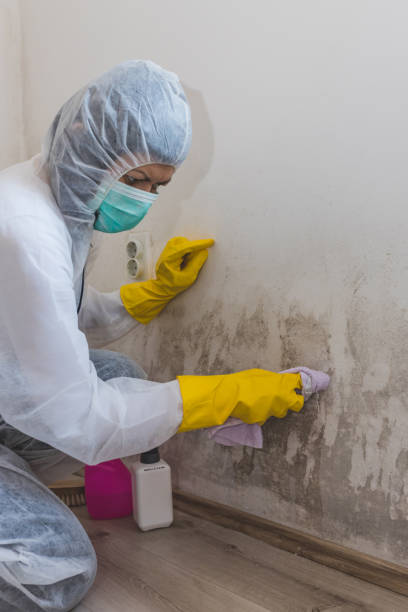 Best Air Quality Testing for Mold Spores  in Marlton, MD